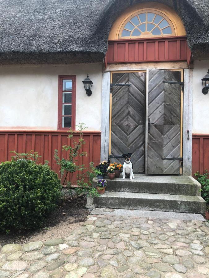 Vasatorps Matologi Bed and Breakfast Helsingborg Eksteriør billede